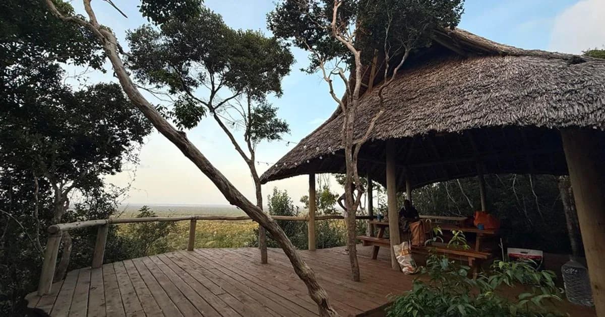 Safari Tent — additional view