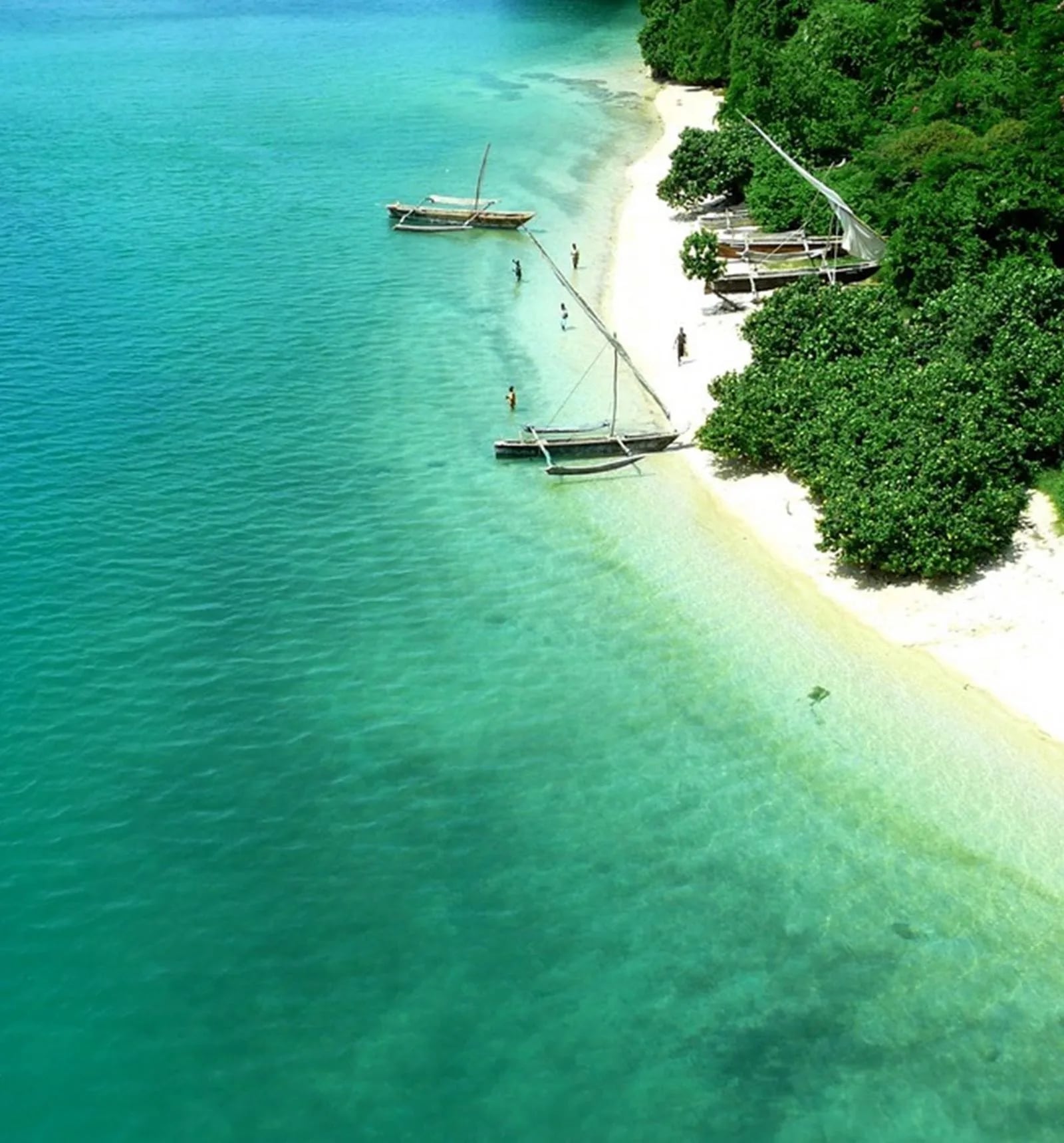 Long stretch of golden Kilifi shoreline meeting the Indian Ocean
