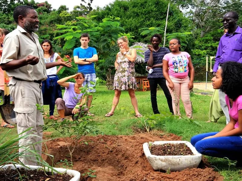 Permaculture garden in Kilifi with banana, papaya and herbs